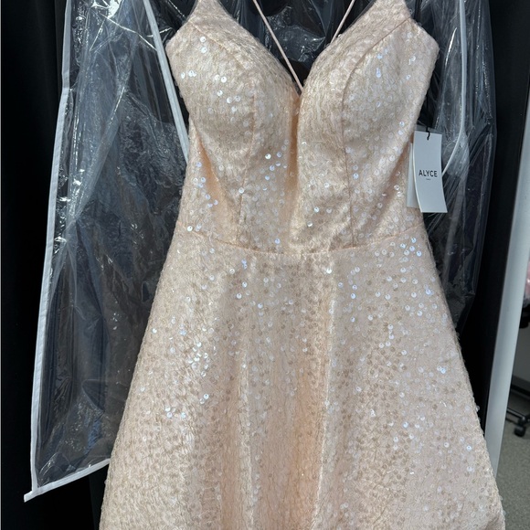 Alyce Paris Dresses & Skirts - NWT Alyce Paris Blush Pink Sequin Party Dress